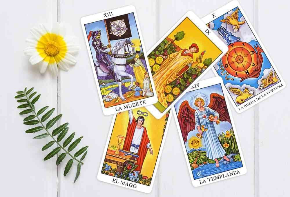 Tarot Arcanos Maiores e Menores e flor