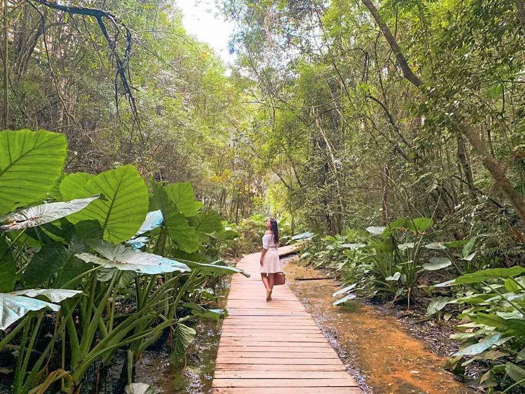 Universidade Livre do Meio Ambiente em Curitiba - Trilha